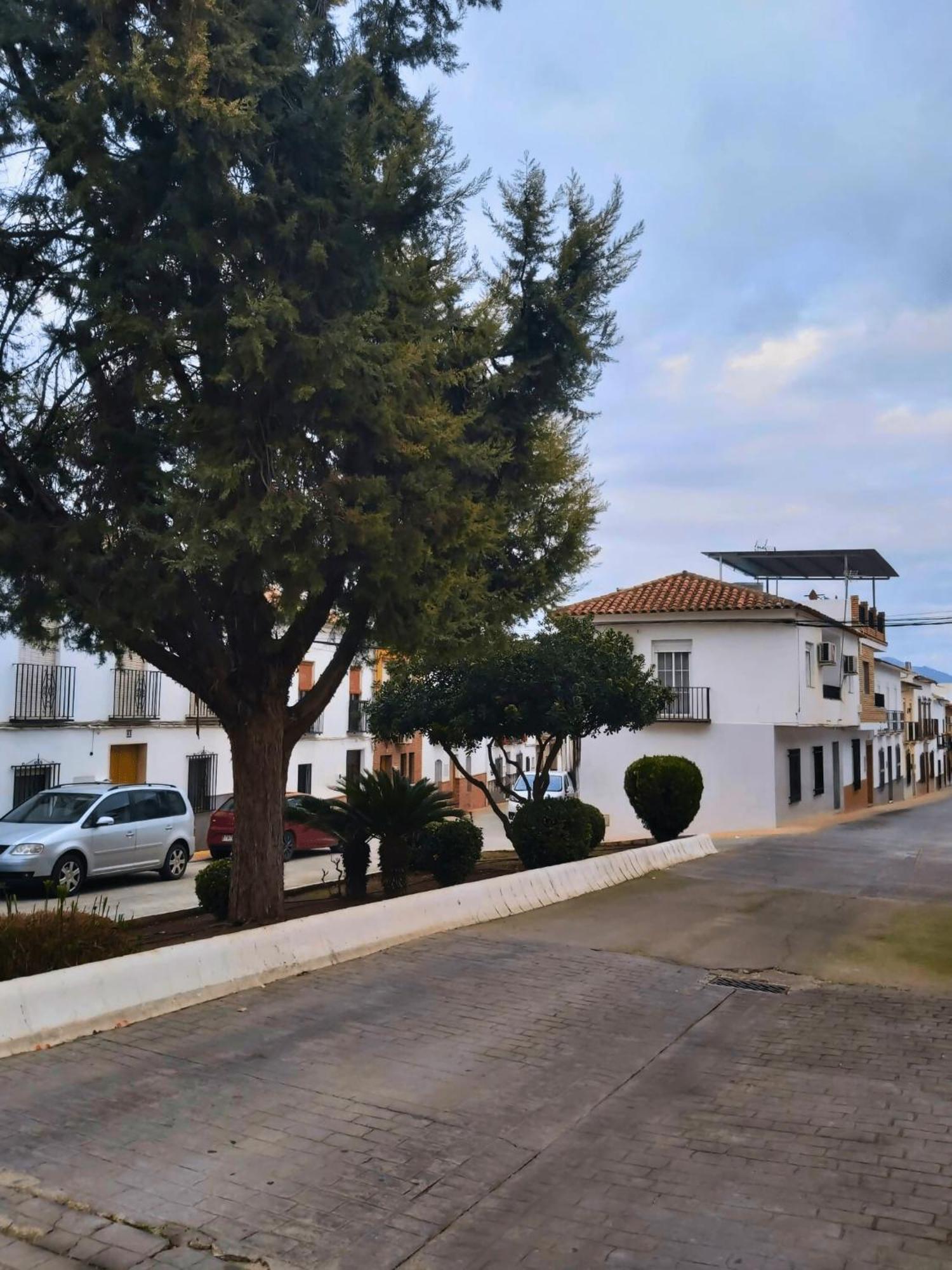 Arcadia Centro De Andalucia Villa Encinas Reales Exterior photo